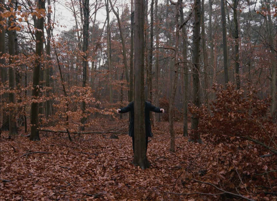 A small figure embraces a tree trunk in the middle of the autumn forest.