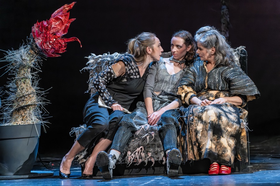 Clara, Rahel and Lin squeezed together on the shaggy sofa beside a thorny plant with a red bloom.
